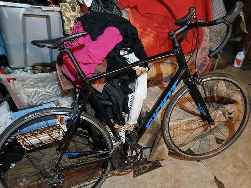Giant contend 2021 - contend, 3