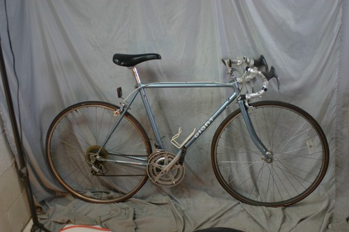 1987 giant rs900 road bike - road,