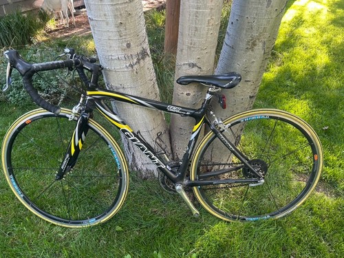 Carbon giant tcr roadbike - giant,